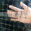 high quality PP anti-deer fence(professional factory,best price with good quality!!)
