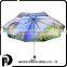 Digital Printing For Photo Design Beautiful Ladies Folding Umbrella