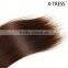 14inch 4 color 100g silk straight Most popular custom design remy virgin hair weft