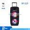 2015 dual speakers 12 inch wireless trolley speaker with bluetooth DP-225