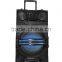 12 inch high power wooden bluetooth portable speaker with led light and wireless mic MT-12