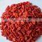 Free Samples Top Quality Tibet Dried Goji Berry Wholesale Price