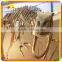 KANO4352 Outdoor Decorative Fiberglass Dinosaur Artificial Skeleton