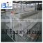 BETTER FACTORY automatic broiler chicken cage, cages for broiler chicken, broiler battery cage( factory price)