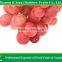 Export Delicious Sweet Fresh Red Globe Grape Red Globe Grape From China