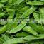 Fresh Peas