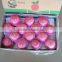 Apple Fuji From Yantai Shandong China