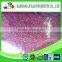AD Drying Process candied organic freeze dried fruit powder