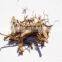 Natural Piper methysticum Extract/Kava Kava Root Extract/Kava root Extract Powder