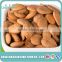 top quality raw organic apricot seeds, sweet apricot kernels for nuts and seeds company with wholesale price