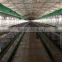 broiler/ layer cage