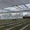 Galvanized steel structure glass cover used commercial greenhouses
