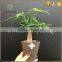 non woven outdoor flower pots and decorative plant pot covers