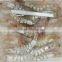 BQF Whole Round Vannamei White Shrimp