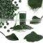 Spirulina Extract
