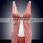 Top quality of sexy elegant glamorous ladies lingerie women sexy hot transparent bra underwear