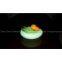 Waterproof LED Fruit Ice Pot