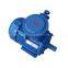 DSB (YBS) series explosion-proof motor