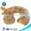 Custom Factory u Shape Baby Neck Pillow Promotional Cute Red Crab Plush Neck Pillow