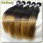 2014 Superstar Beyonce Style Unprocessed Raw Two Tone Ombre Virgin Brazilian Silky Straight Remy Human Hair Wef