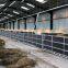 Economic Steel Structure Pig Farming Shed Poultry Building