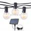 New Energy Garden Solar G40 Led Lights Outdoor Decorative 3W Solar Panel