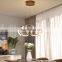 Aluminum Acrylic Irregular Surround Type Pendant Light Decorative Hanging Lamp