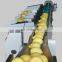 High quality Electronic Fruit Sorting Machine for different capacity