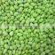 Sinocharm BRC A Approved 75# Frozen Soybean Kernel Frozen Edamame Kernel