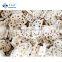2021 Sinocharm IQF Frozen Vegetable Lotus Root 8-10mm lotus root