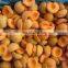 BRC A Approved IQF New High Quality Halves Fruit Frozen Apricot Half from Sinocharm