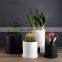 Nordic Modern Decorative Plant Pots Ceramic Cylinder Succulent Planter Plant Flower Pot With Tray Drainage Hole