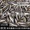 Factory Supply New Harvest Roasted Sunflower Seed With Market Price And high quality