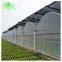 qingtian PO warranty anti-dripping greenhouse plastic film for agriculture with long service time