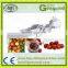 Dates processing line /date palm paste making machine/Dates paste making machinery