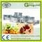Automatic peach in syrup production line / canned peach processing machine