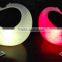 Rotational PE Plastic Crafts With LED Light And Remote Control YXF-4541