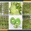 Leader stainless steel peeler and slicer for fruits with CE&ISO