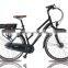 Electric bike LITHIUM BATTERY 36V