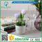 2016 Wholesale Multicolor Latex Artificial PU Flowers Tulip bonsai Real Touch Bouquet Wedding Bridal Decor Display Flower