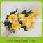 Cut Flower/Fresh Cut Flower/Rose/Rose Flower/Flower Rose for Wedding