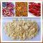 304 stainless steel mesh belt dryer for fruits and vegetables with high quality