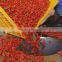 Ningxia Dried fruit Goji berries wolfberry nutrition fruit The Premium Grade Dried Goji berries Chinese Wolfberry nutrition