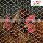 PVC/Galvanized Normal / Reverse Twist Hexagonal Chicken Wire Mesh