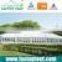 Outdoor Event High Peak Marquee Tent for Wedding Party