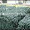 hexagonal wire mesh galvanized(lowest price)