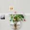 wholesale hot sale cylinder acrylic fish aquarium
