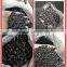 Graphite Petroleum Coke as carbon raiser cheaper than Graphite Electrode