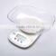 Digital Food Scale 5kg 0.5g with Bowl