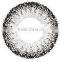 Korea Cosmetic Gray Color Contact Lens EOS Luna G-211 Lens